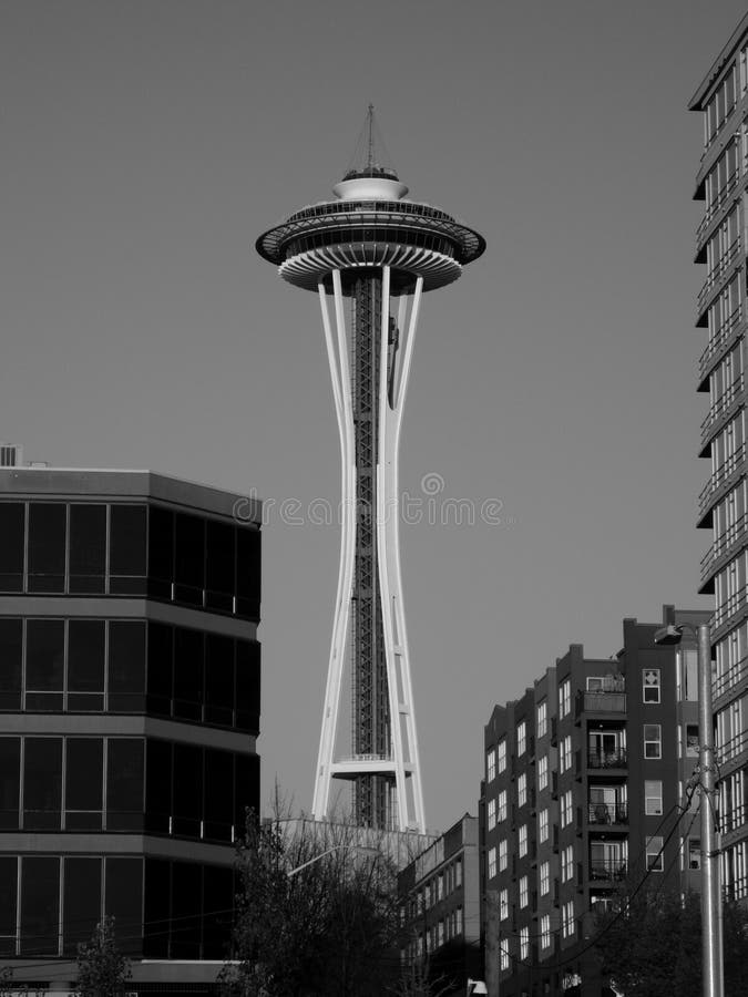 172 Seattle Space Needle Black White Stock Photos Free & RoyaltyFree