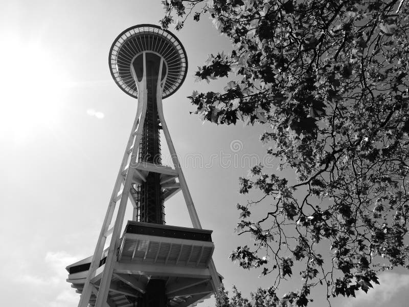 172 Black White Seattle Space Needle Stock Photos Free & RoyaltyFree