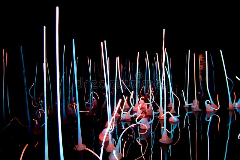 SEATTLE, WASHINGTON, Etats-Unis - 23 janvier 2017 : Forest Exhibit de verre par l'artiste américain Dale Chihuly au verre de Chih images stock SEATTLE, WASHINGTON, Etats-Unis - 23 janvier 2017 : Forest Exhibit de verre par l'artiste américain Dale Chihuly au verre de Chih images stock