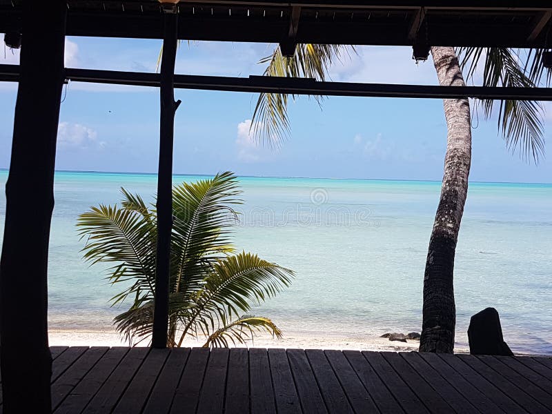 Seaview royalty-vrije stock afbeelding