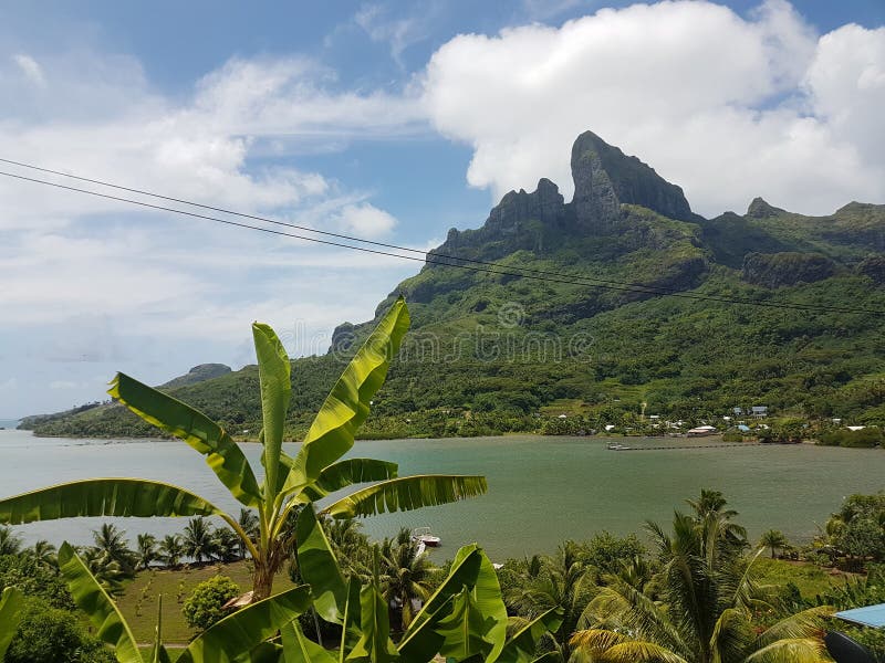 Seaview stock afbeeldingen