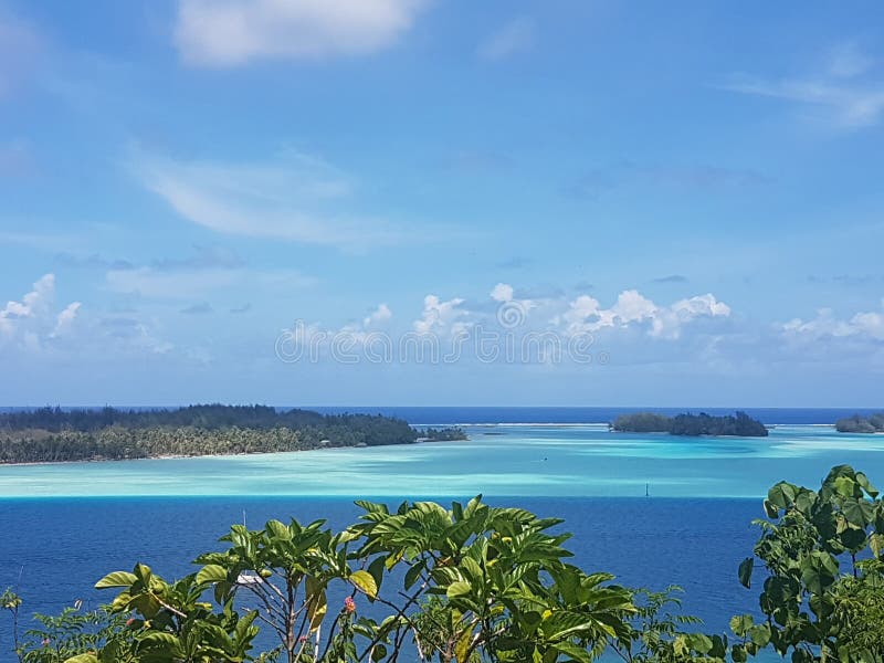 Seaview stock foto's