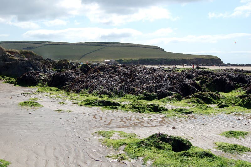Bantham in Devon stock photo. Image of estuary, shore - 48356644