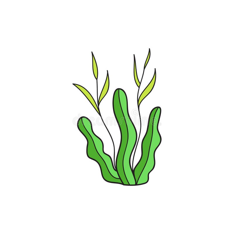 Seaweed Plant Vector Illustration Icon Stock Vector - Illustration of ...