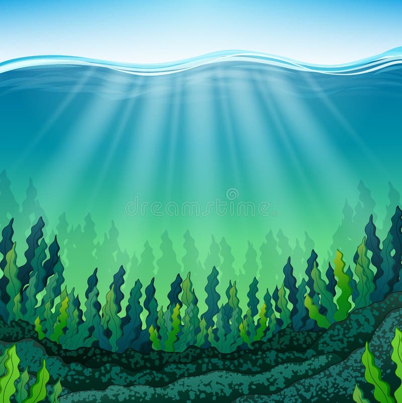 Seaweed on the ocean floor vector illustration