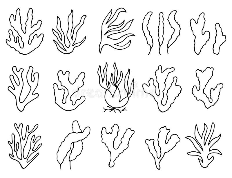 Seaweed Outline Svg