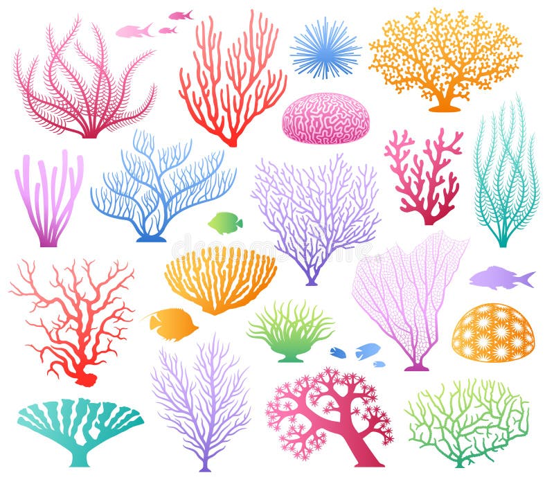 Seaweeds and corals on white.