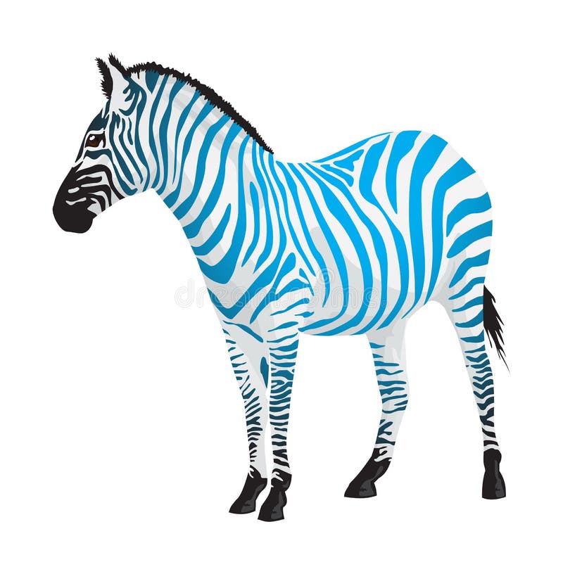 Sebra med remsor av blåttfärg. stock illustrationer