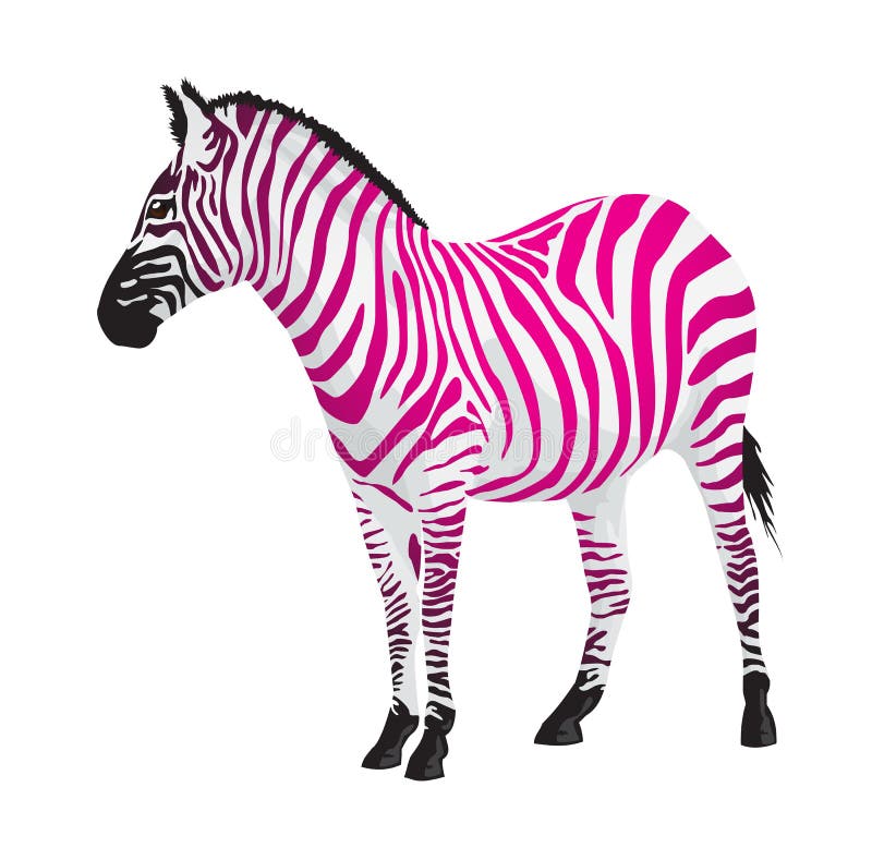 Sebra med remsor av rosa färgfärg. vektor illustrationer