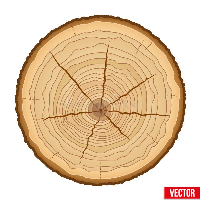 Featured image of post Tronco De Arvore Vetor Desenhos similares a tronco de rvore