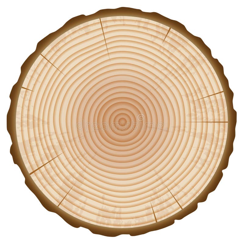 Tronco de madera de arbol, tronco de arbol dibujo, rama, madera, el  maletero png