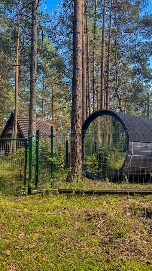 Secluded forest retreat with modern circular cabin and rustic wooden house surrounded by tall pine trees on a sunny day royalty free stock photography