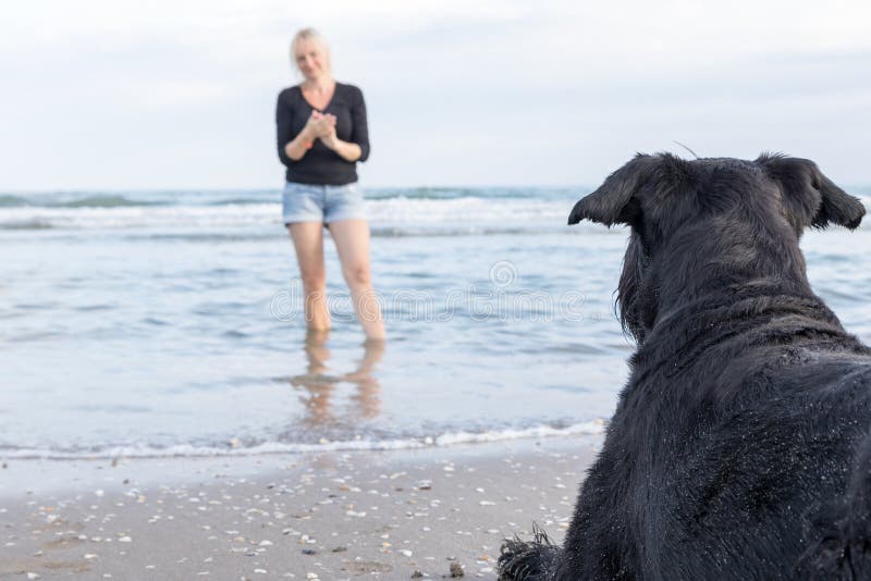 Gigante negro hombre barbudo es un acostada sobre el arenoso Playa.