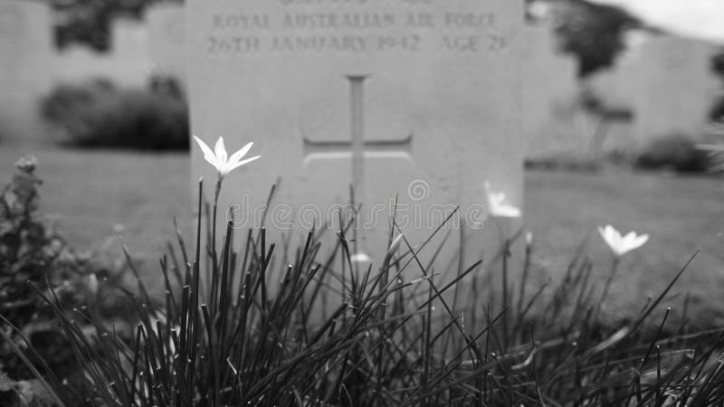 Second World War grave