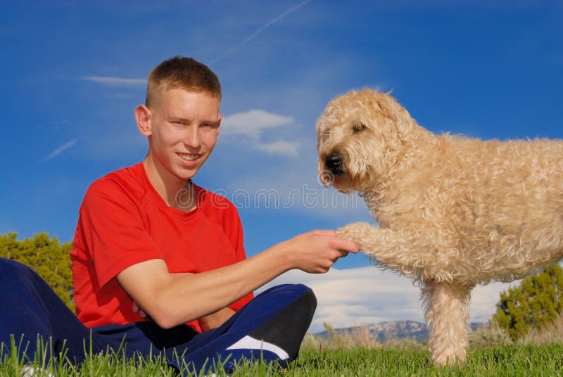 Serrer la patte photos libres de droits