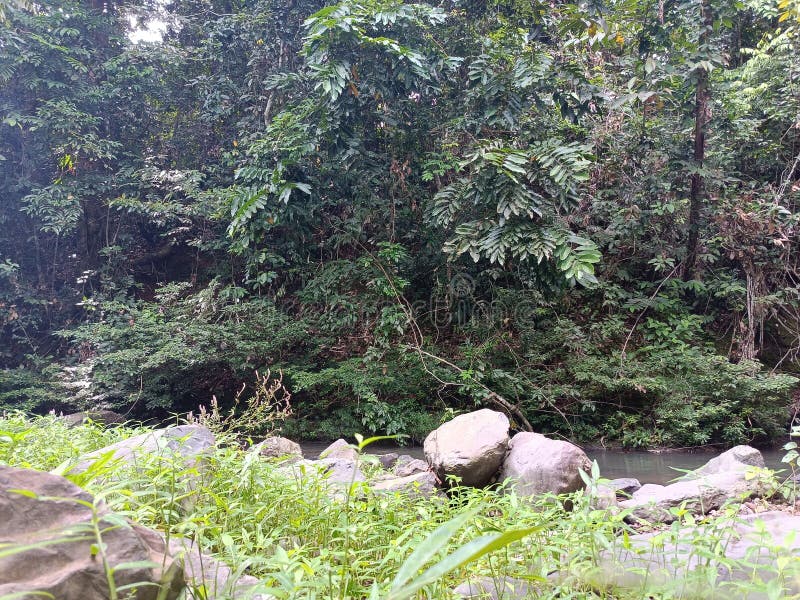 The Hidden Secret Behind Intuit River Will Change How You See Nature Forever