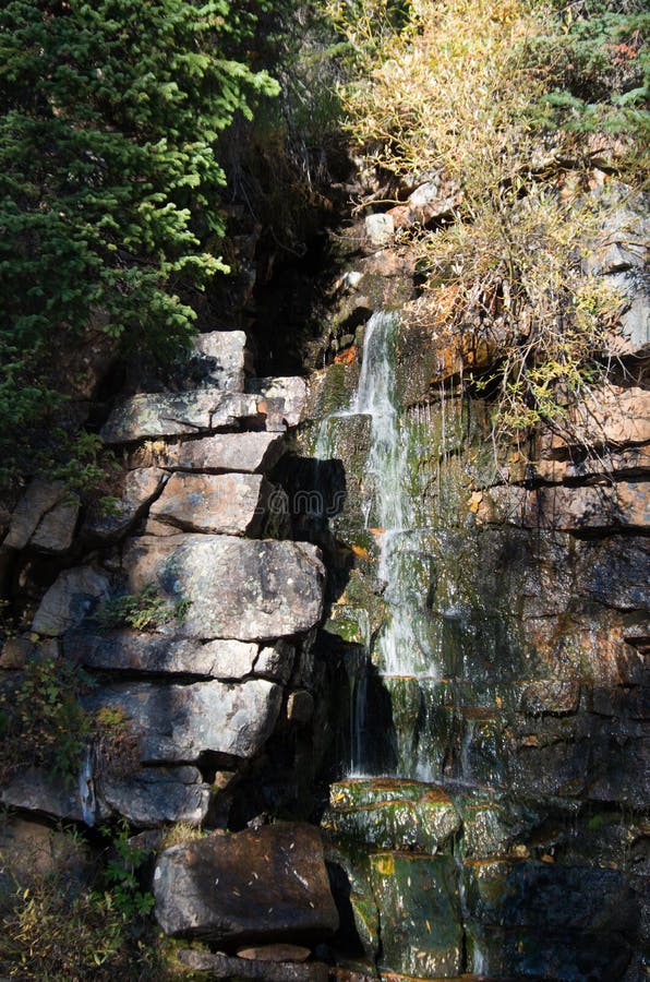 Mossy Grotto Falls with Plants in Spring Season Stock Photo Image of