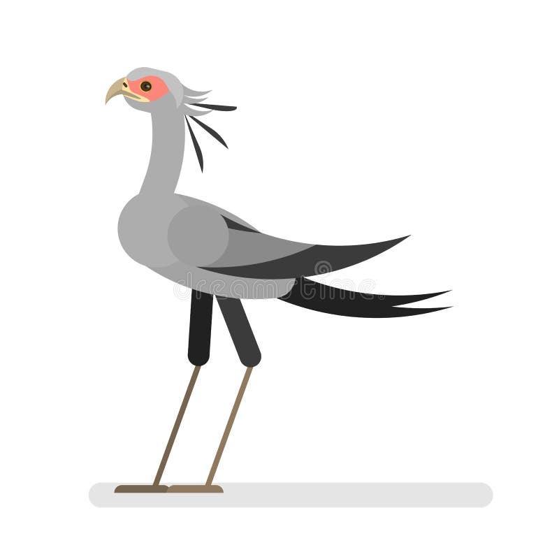 Download Secretary Bird Spiral Pattern Color Silhouette Animal ...
