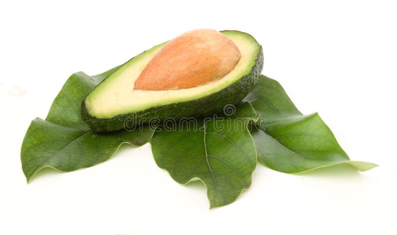 Section of avocado on leaves