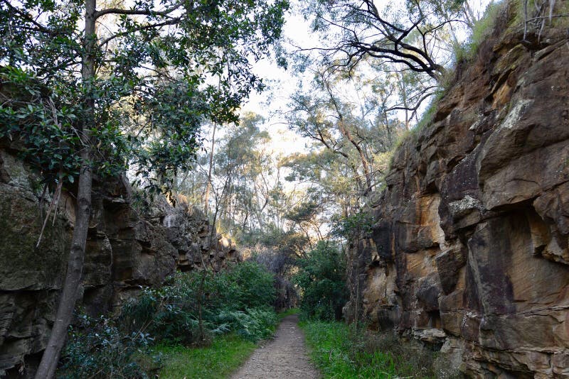 Zig Zag Walk Blue Mountains Stock Photos Free & RoyaltyFree Stock