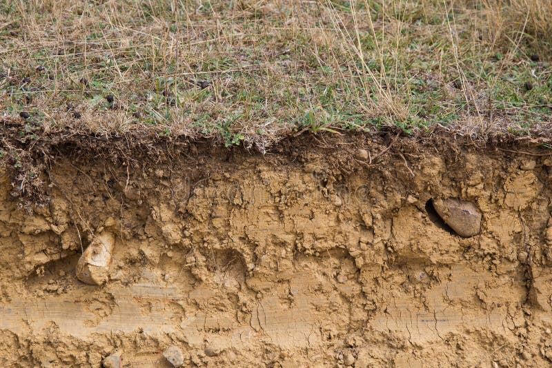 Section Transversale D'argile De Terre Photo stock - Image du