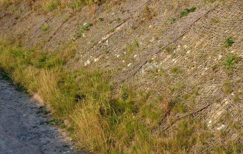 Erosion Of The Park Path Will Damage The Upper Sandy Gravel. Regular ...