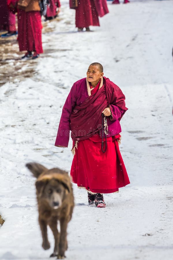 Seda sichuan, kina-Mars 08,2016, munkar p? Seda den buddhish h?gskolan arkivbilder Seda sichuan, kina-Mars 08,2016, munkar p? Seda den buddhish h?gskolan arkivbilder