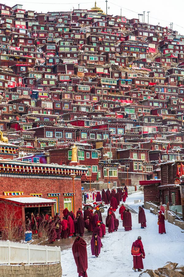 Seda sichuan, kina-Mars 08,2016, munkar p? Seda den buddhish h?gskolan royaltyfri foto Seda sichuan, kina-Mars 08,2016, munkar p? Seda den buddhish h?gskolan royaltyfri foto