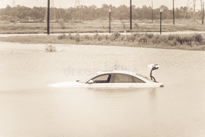 Swamp car flood