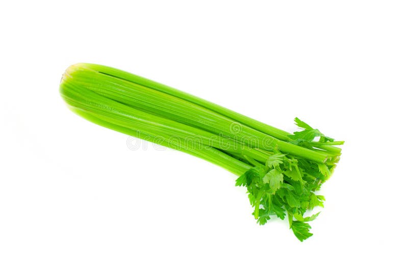 Fresh celery on white background. Dieting. Fresh celery on white background. Dieting