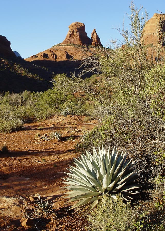 Sedona A