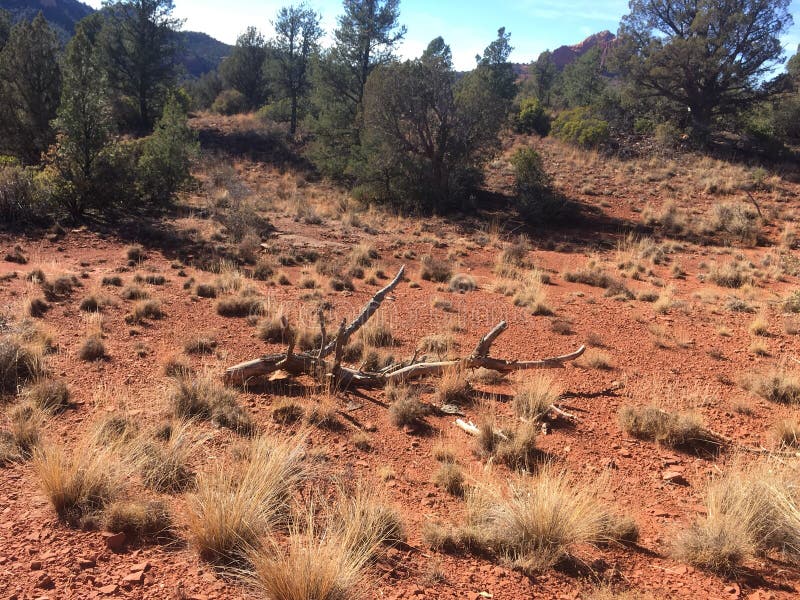 Download Sedona Rode Rots Wandelingsslepen Stock Foto - Afbeelding bestaande uit staten, arizona: 107708778