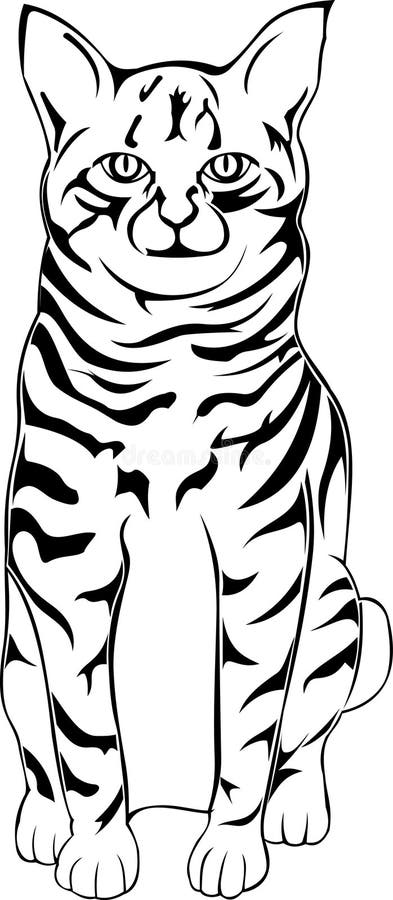 Seduta ed attesa Bobtail americane del gatto illustrazione di stock Seduta ed attesa Bobtail americane del gatto illustrazione di stock