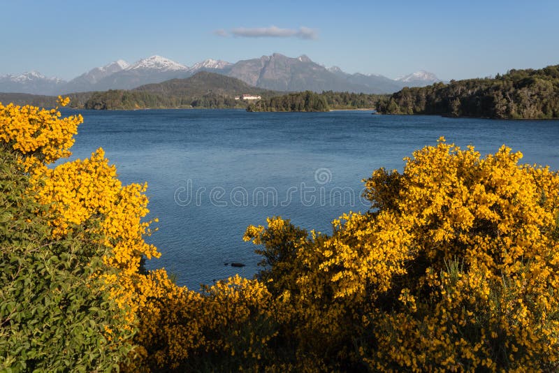 See Nahuel Huapi stockbild. Bild von goldregen, spitzen - 66968417