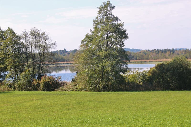 See Seeleiten nahe dem europäischen Naturreservat Ibmer machen fest Österreich stockfoto See Seeleiten nahe dem europäischen Naturreservat Ibmer machen fest Österreich stockfoto