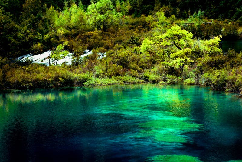 See und Bäume im Jiuzhaigou, Sichuan, China stockbilder See und Bäume im Jiuzhaigou, Sichuan, China stockbilder