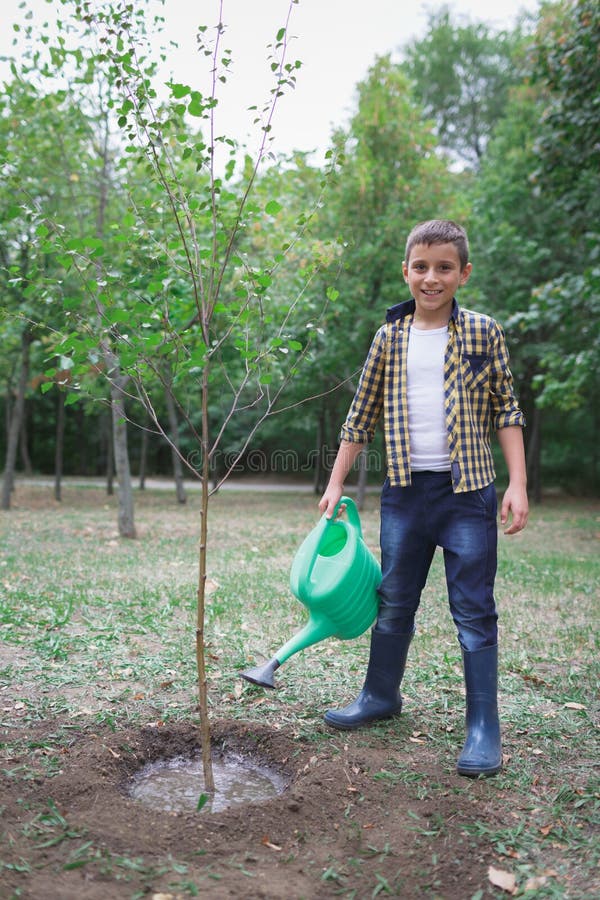 Hand nurturing and watering a young plant, Love and protect nature concept, nurturing a baby plant. Watering tree, earth