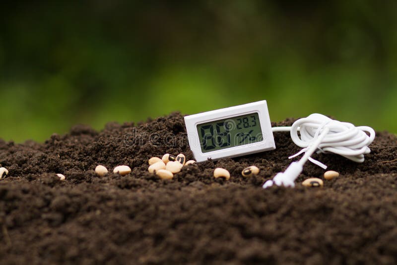 120+ Garden Soil Thermometer Stock Photos, Pictures & Royalty-Free