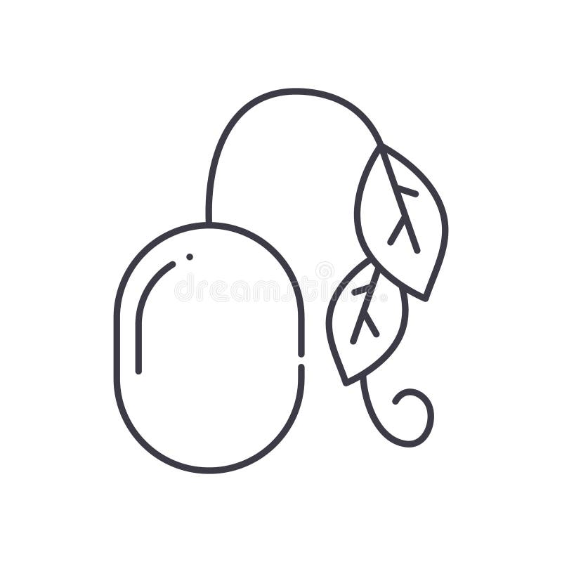 Seeding icon, linear isolated illustration, thin line vector, web design sign, outline concept symbol with editable vector illustration