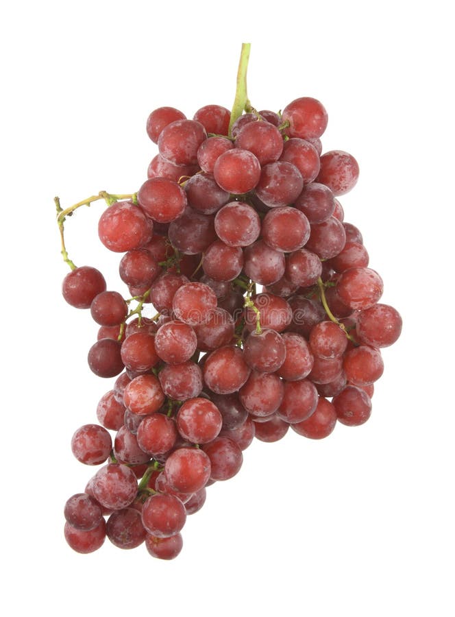 Seedless red grapes