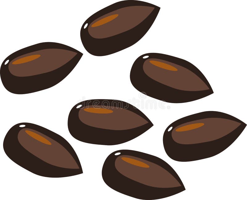 Seeds Stock Illustrations 40,834 Seeds Stock Illustrations, Vectors