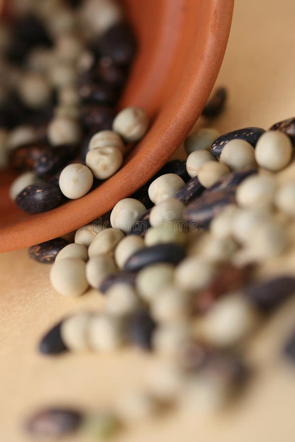 Seeds beans and peas. stock image. Image of bean, vertical 13503773