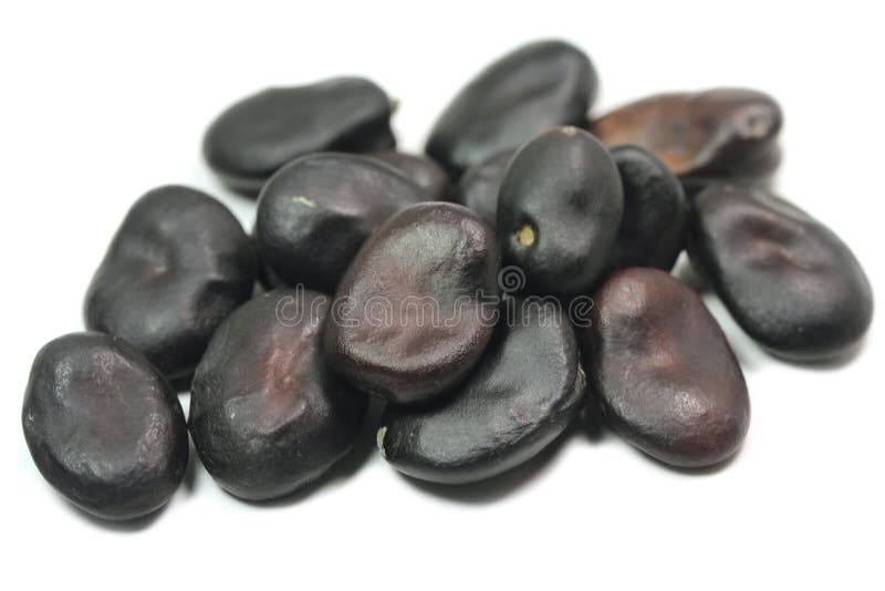 Seeds of Black Beans Closeup Stock Image Image of cooking, grains