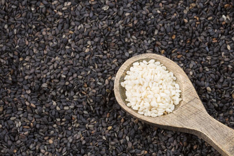 Seeds Black and White Sesame Sesamum Indicum Stock Image Image of