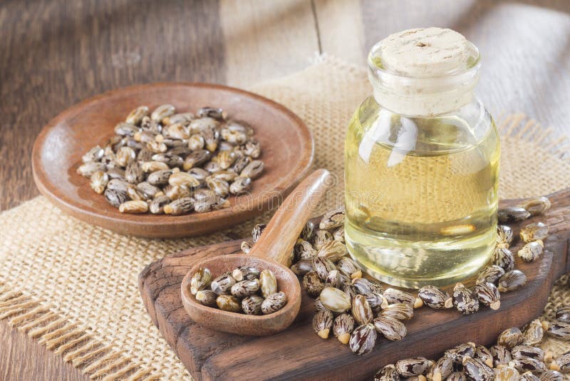 2,886 Castor Oil Stock Photos - Free & Royalty-Free Stock Photos from  Dreamstime