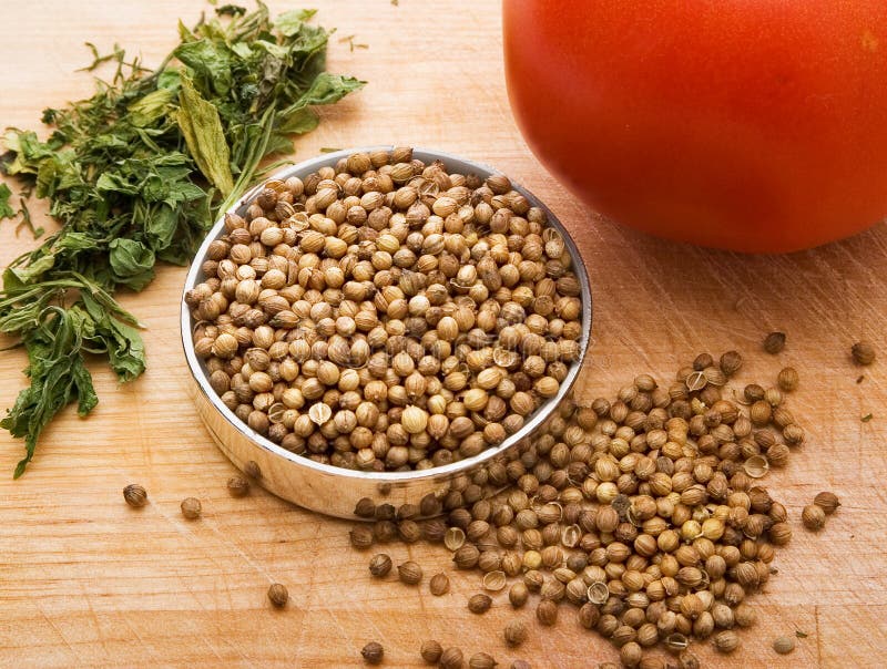 The seeds of coriander stock image. Image of food, chef 8001629