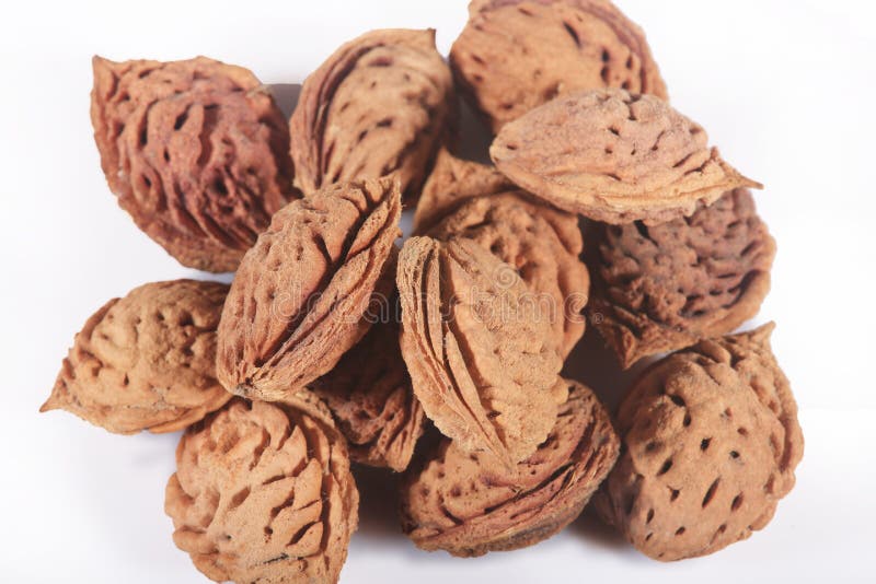 1 033 Peach Pit Photos Free Royalty Free Stock Photos From Dreamstime 1 033 Peach Pit Photos Free Royalty Free Stock Photos From Dreamstime