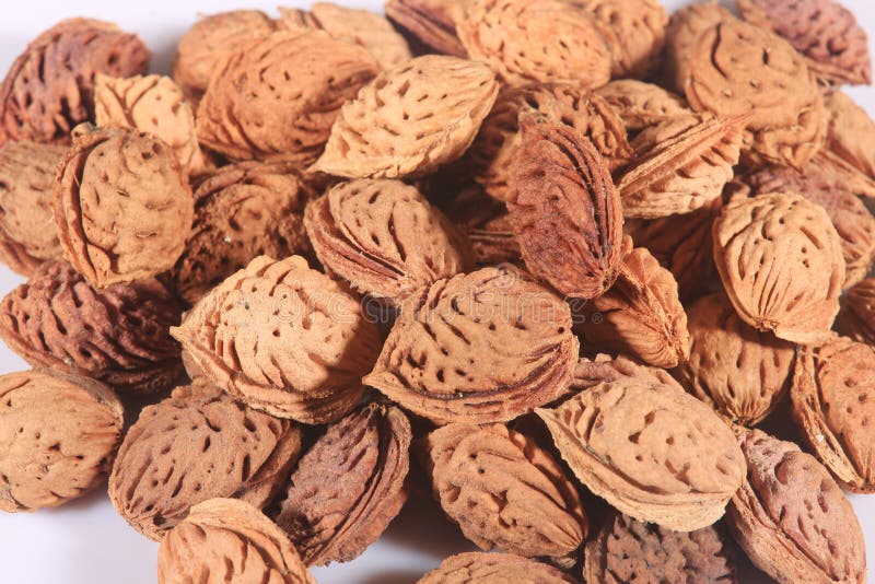 1 033 Peach Pit Photos Free Royalty Free Stock Photos From Dreamstime 1 033 Peach Pit Photos Free Royalty Free Stock Photos From Dreamstime