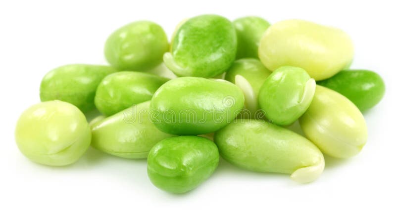 Edible seeds of hyacinth bean or Indian bean