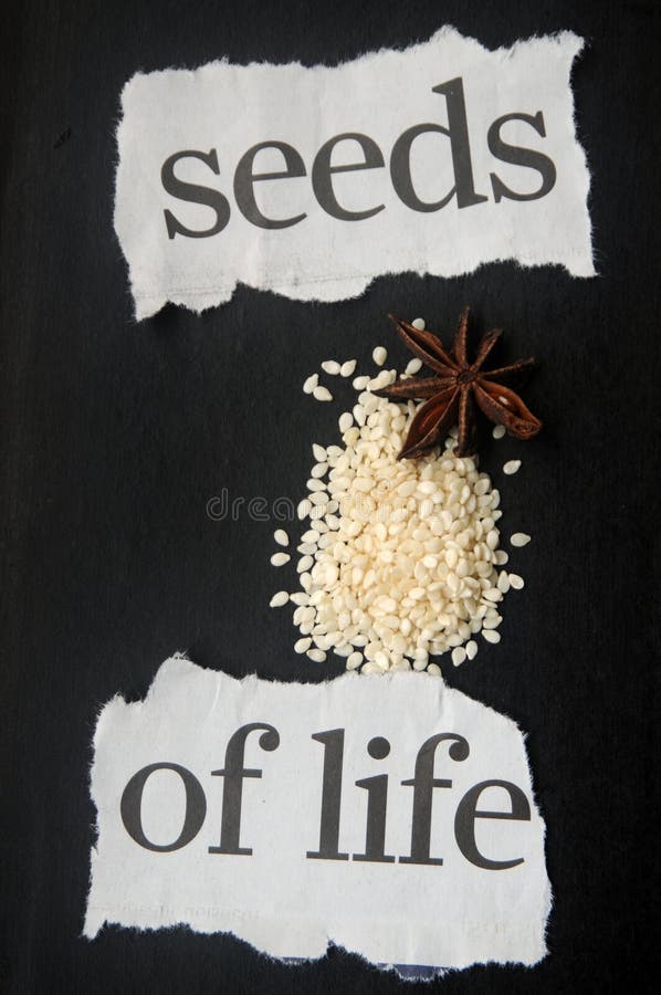 Semi da vita scritto ritagliare sesamo un stella semi d'anice semi.